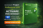 licenta digitala project pro 2019 online
