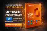 LICENTA office 2024 pro plus
