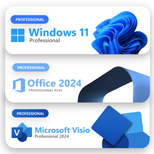 Licente pe email windows 11 pro, office 2024 pro plus si visio pro 2024